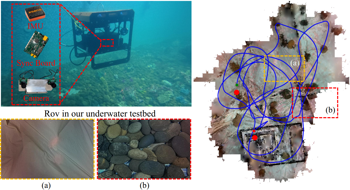 GeVI-SLAM: Gravity-Enhanced Stereo Visual Inertial SLAM for Underwater Robots